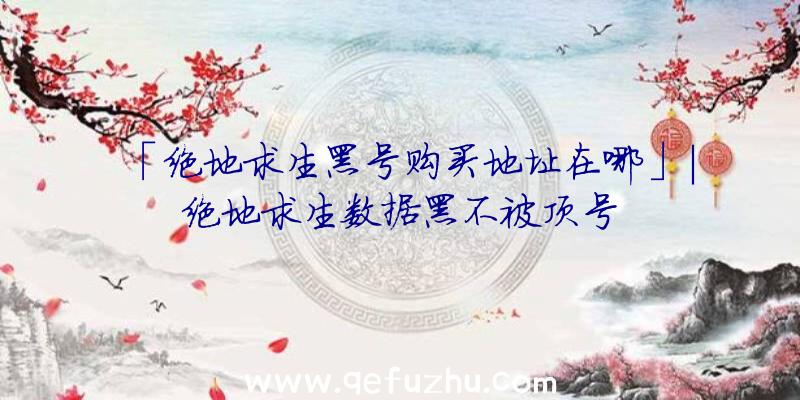 「绝地求生黑号购买地址在哪」|绝地求生数据黑不被顶号